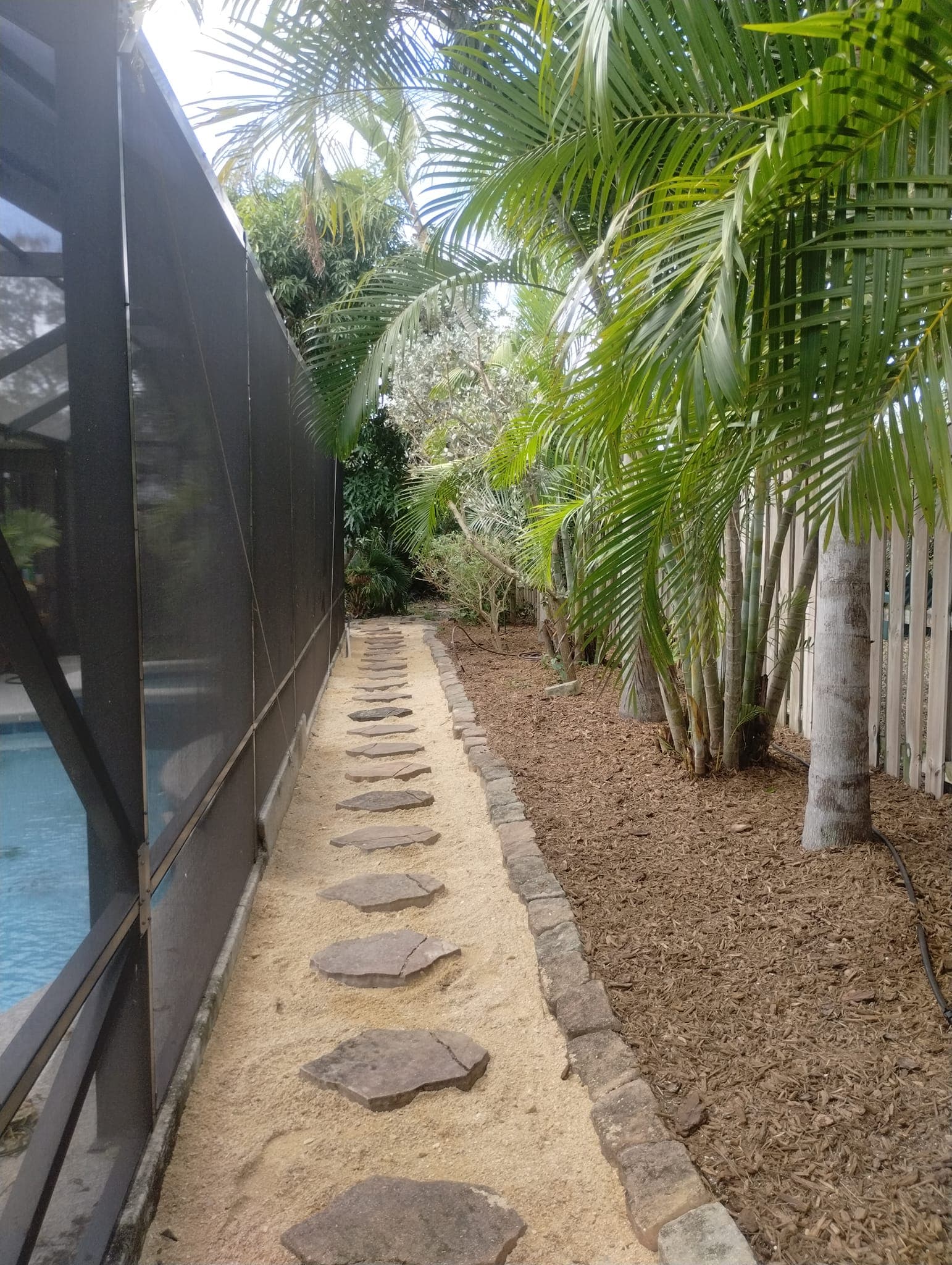 Finished stepping-stone path with fresh mulch beside trimmed palms and a pool enclosure